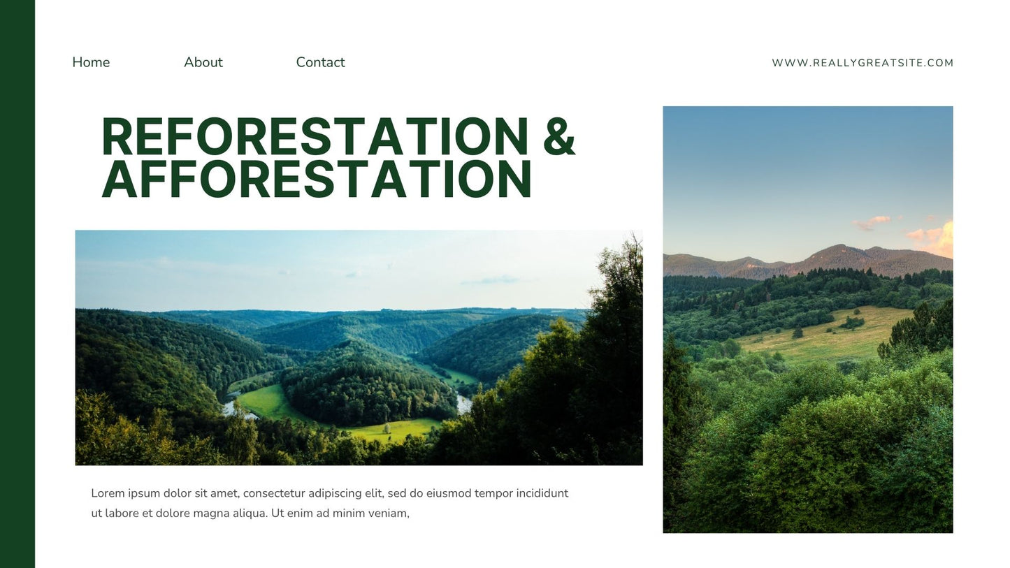 Green White Modern Minimalist Forest Presentation