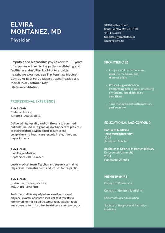 Blue and Green Color Blocks Doctor Resume