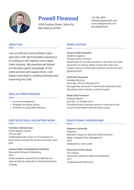 White and Blue Clean Lines Sales Executive Resume
