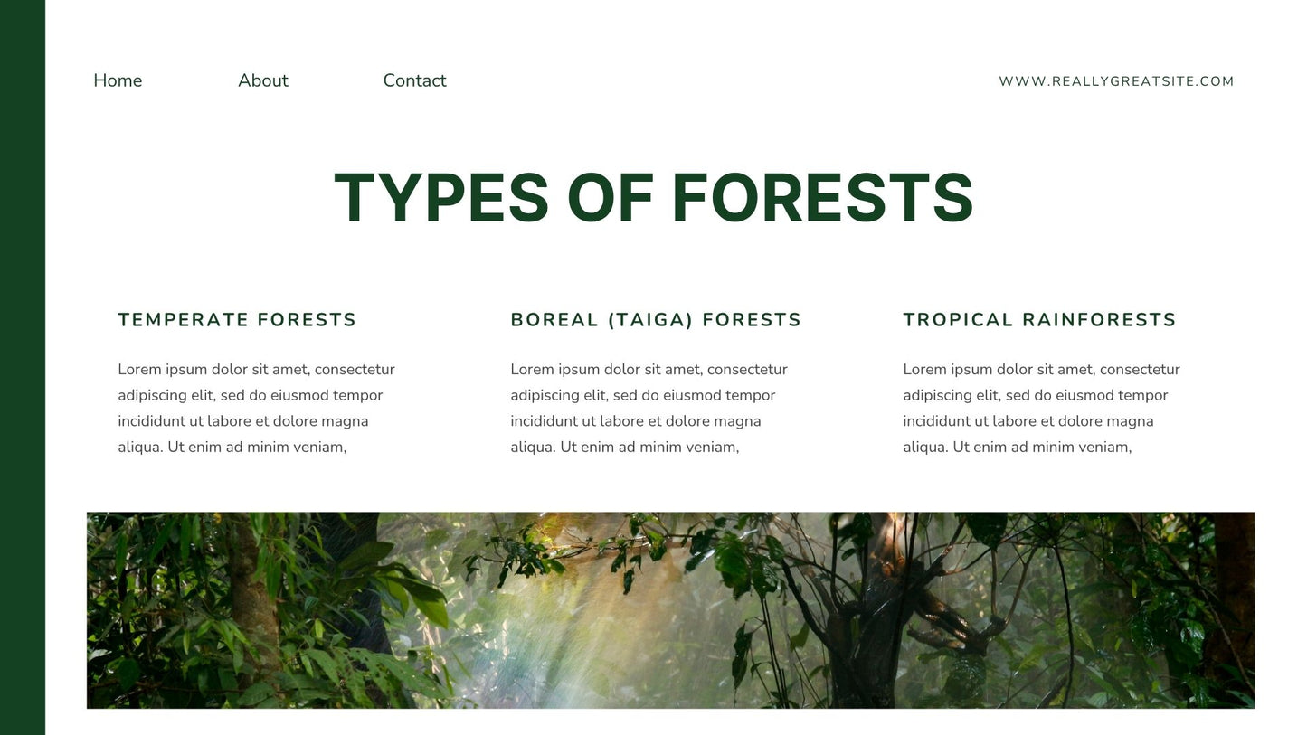 Green White Modern Minimalist Forest Presentation