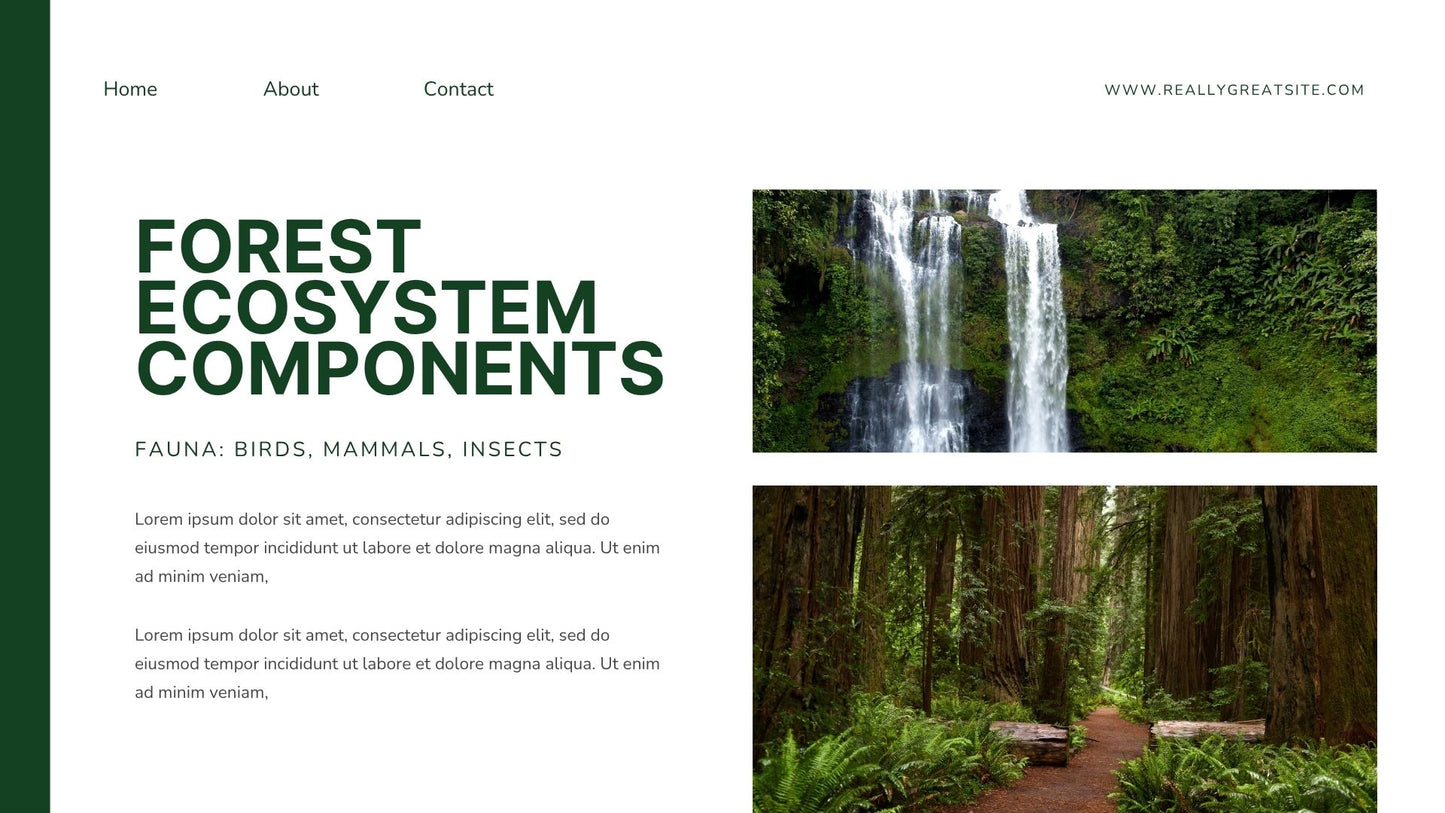 Green White Modern Minimalist Forest Presentation