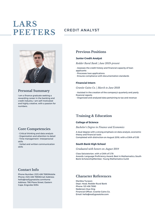 Blue and Gray Corporate Credit Analyst Bank Resume