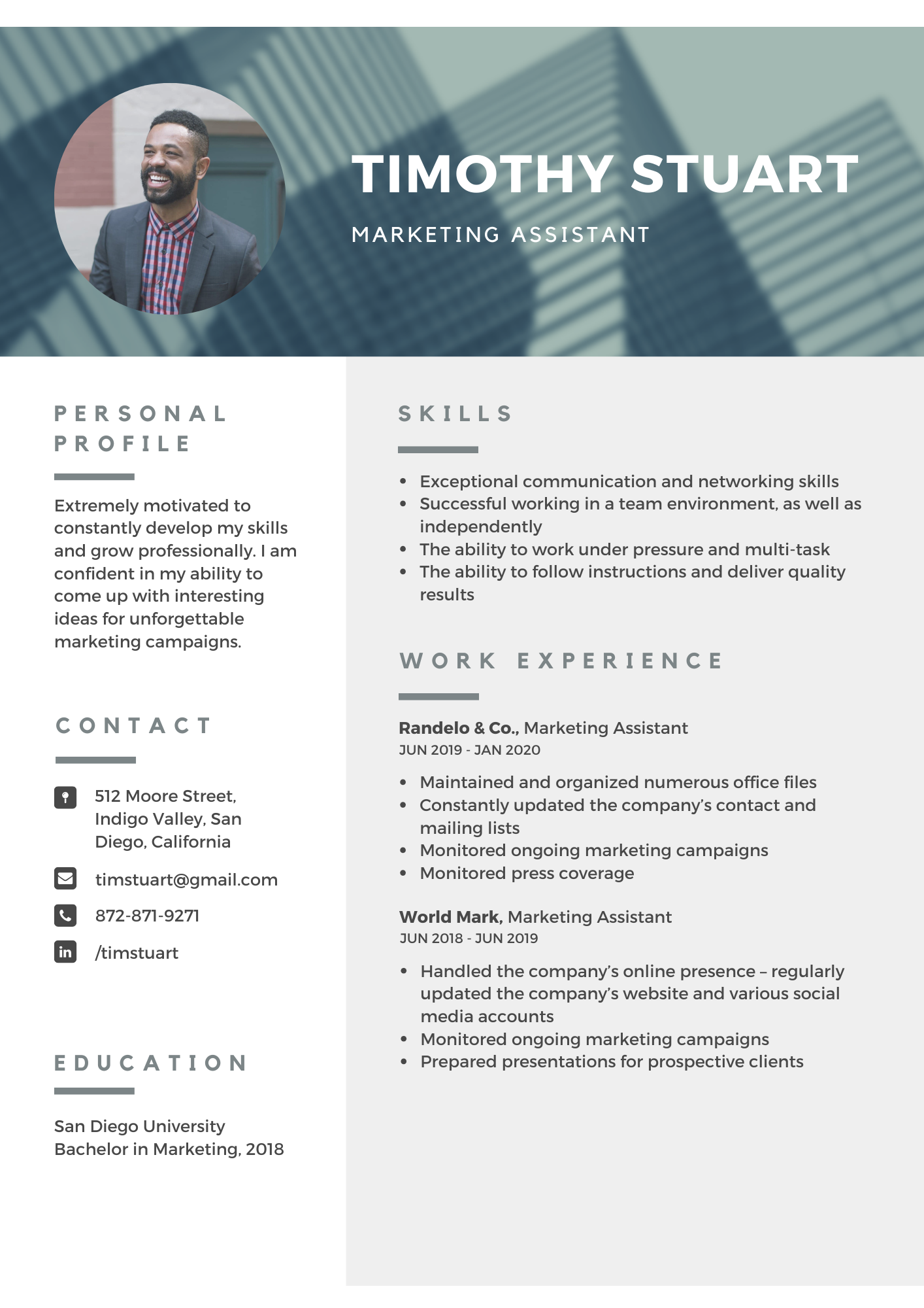 Modern Professional Resume