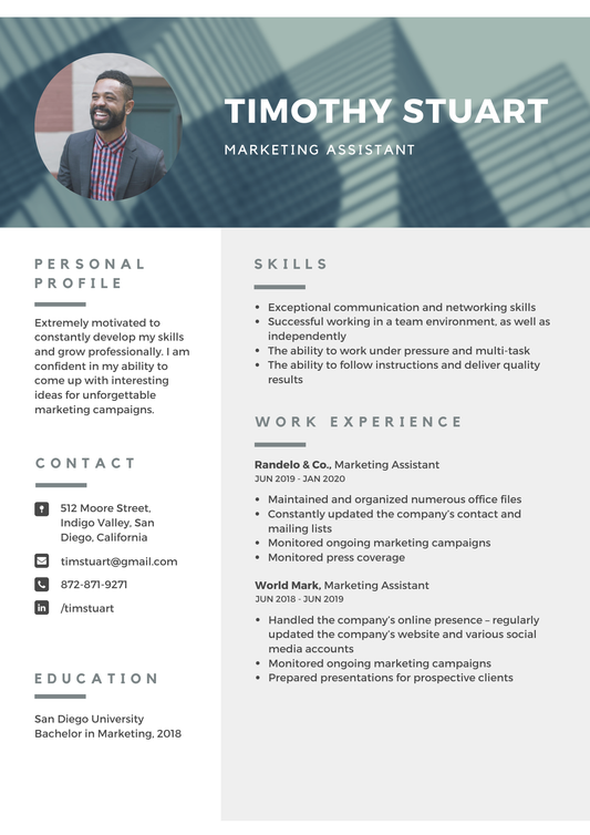 Modern Professional Resume